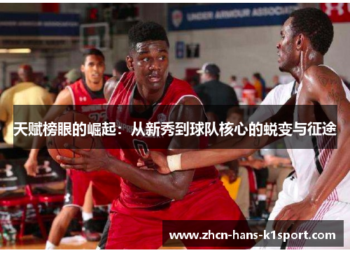 天赋榜眼的崛起：从新秀到球队核心的蜕变与征途