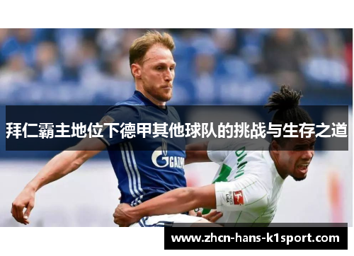 拜仁霸主地位下德甲其他球队的挑战与生存之道